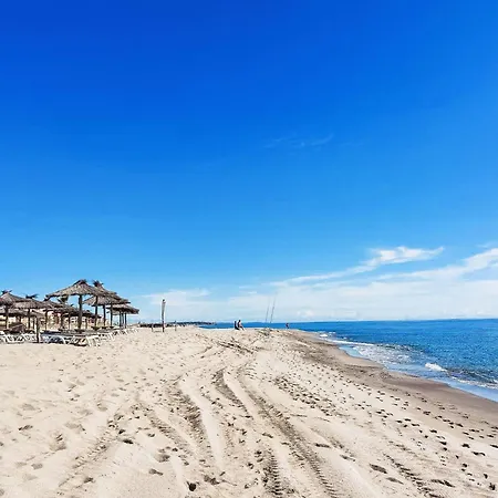 Coudalere-guadeloupe-9 By Interhome Apartment Le Barcares