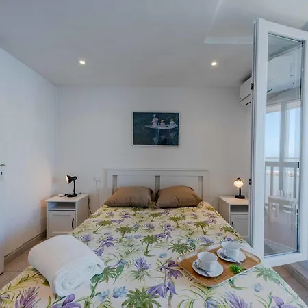 Apartamento Coudalere-guadeloupe-9 By Interhome Le Barcarès